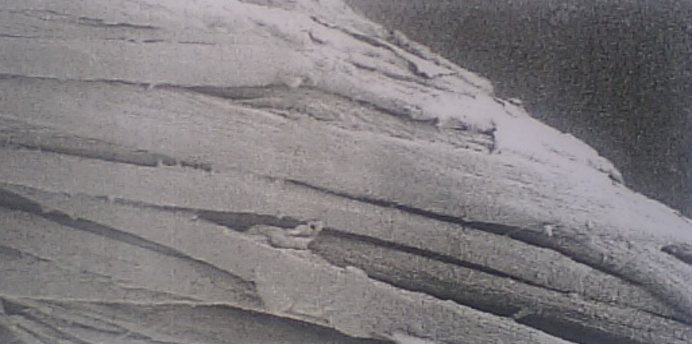 OJO⁺繊維側面の顕微鏡写真