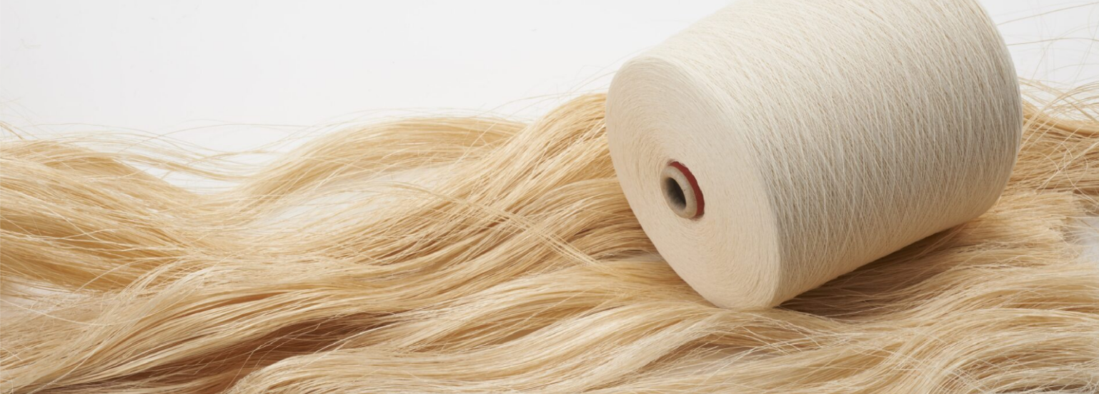 paperturf設置場所イメージ