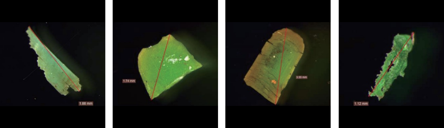 OEKO-TEX Standard 100 Logo